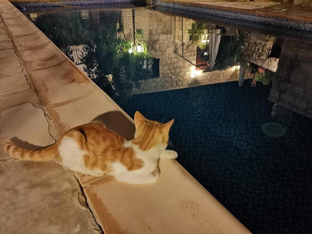 منزل الضيف Polis  في Aliki'S House 1+ 2 المظهر الخارجي الصورة