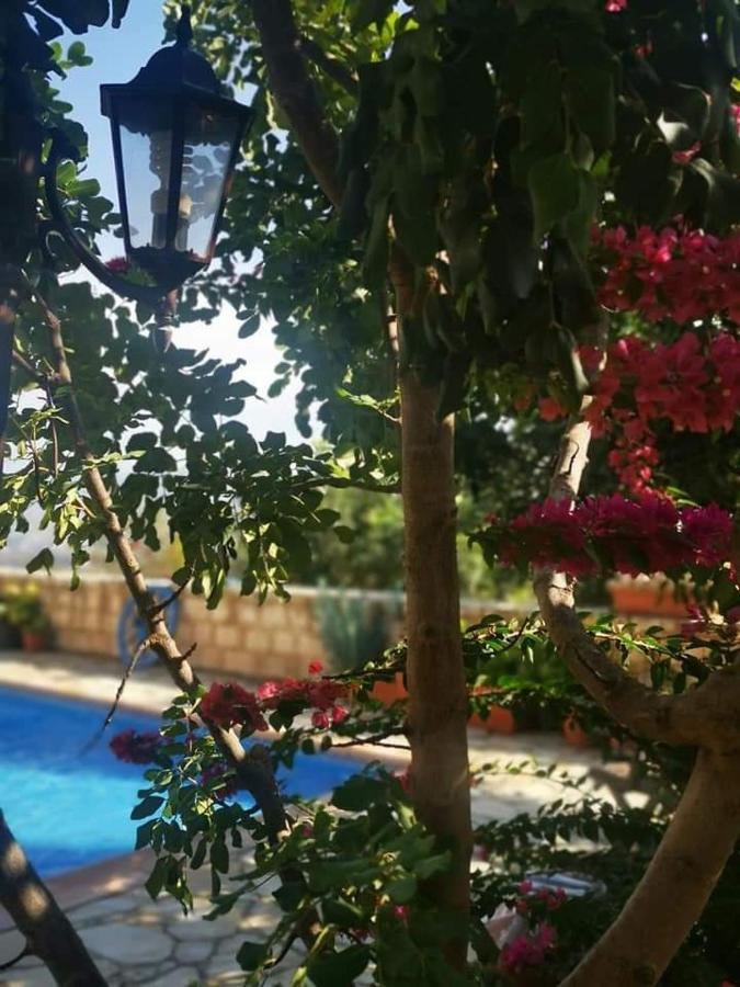 منزل الضيف Polis  في Aliki'S House 1+ 2 المظهر الخارجي الصورة